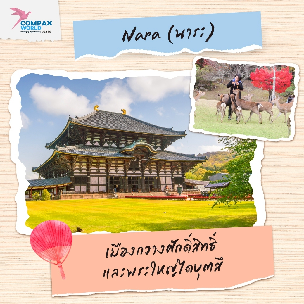 เที่ยวญี่ปุ่น ทัวร์ญี่ปุ่น โปรแกรมทัวร์ญี่ปุ่น
